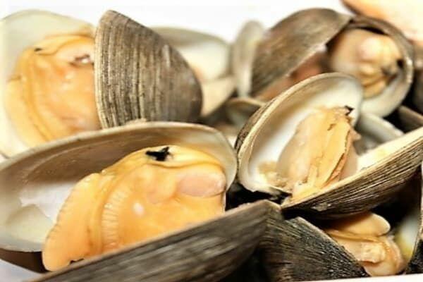 0.5 Lb Clams