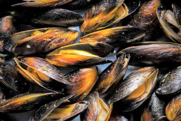 0.5 Lb Black Mussels